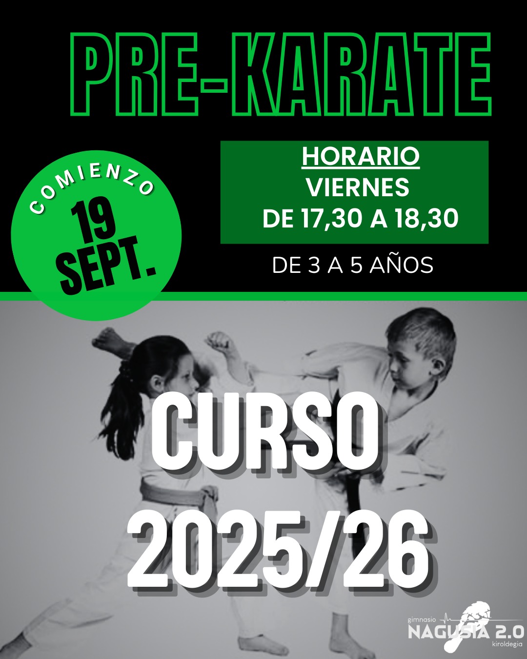 Lee más sobre el artículo Pre-Karate
